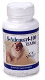 Chewable Tablets 60 ct B565