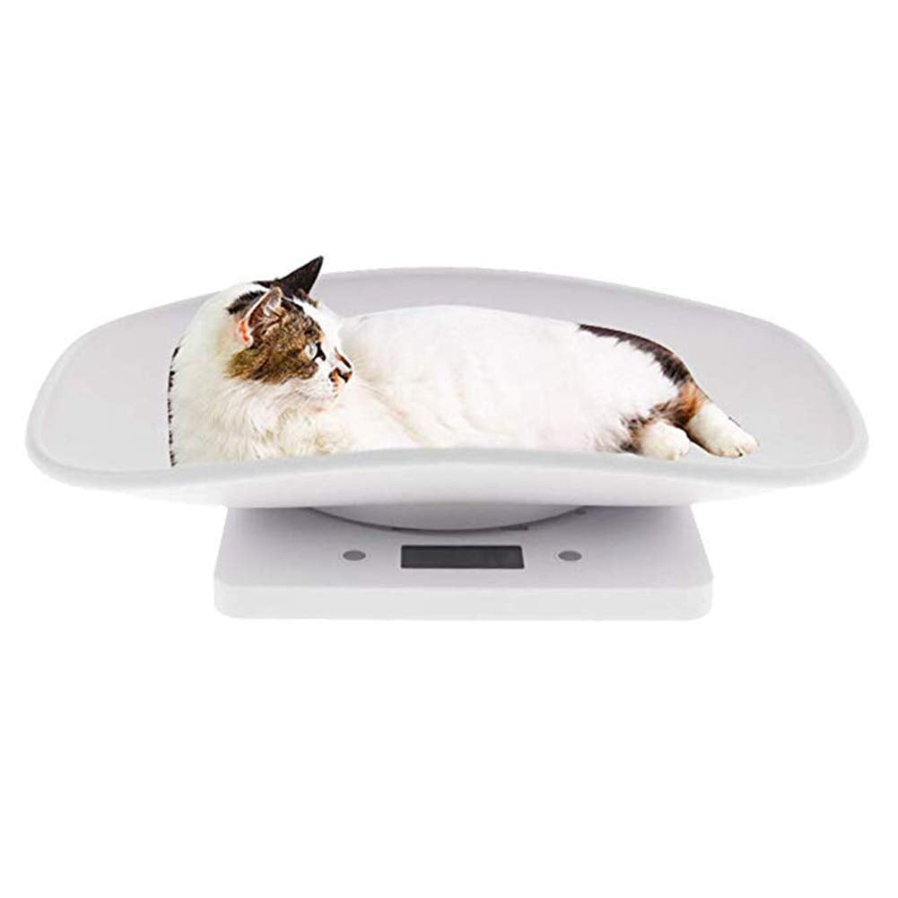 Digital Pet Scale 22 lbs Capacity White T65981