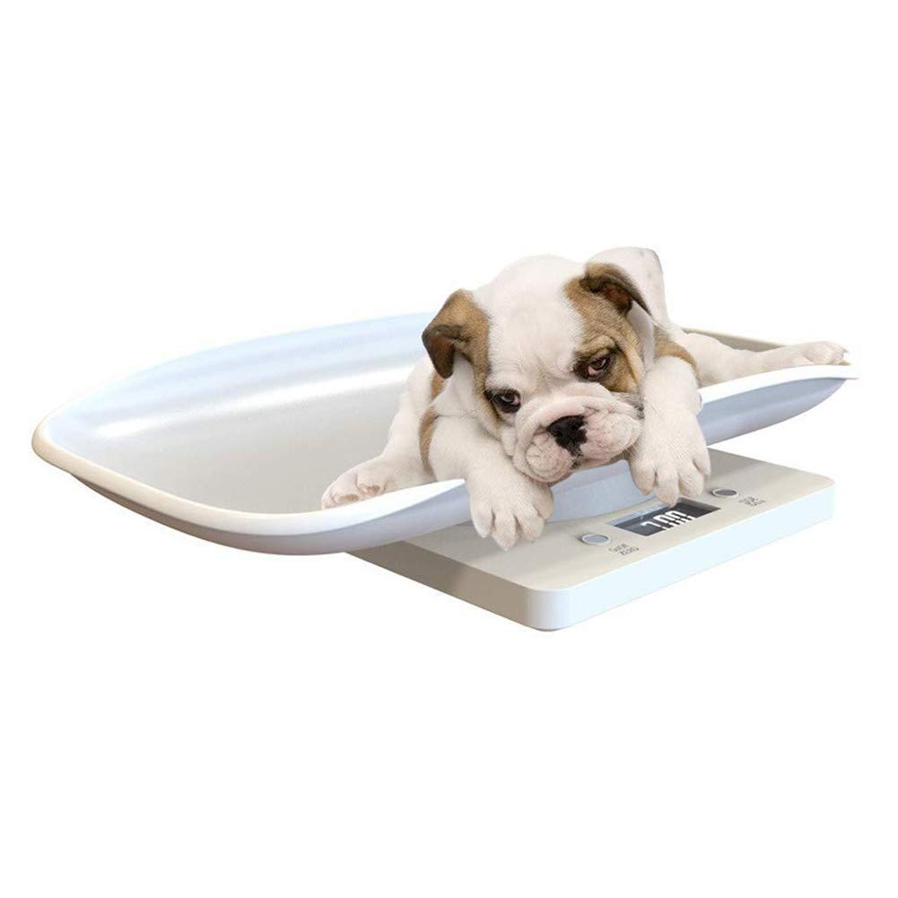 Digital Pet Scale 22 lbs Capacity White T65981
