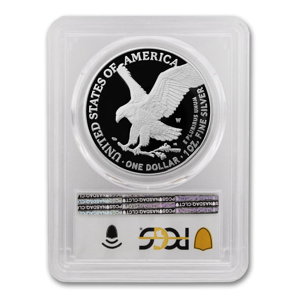 1 oz American Silver Eagle Coin D5439