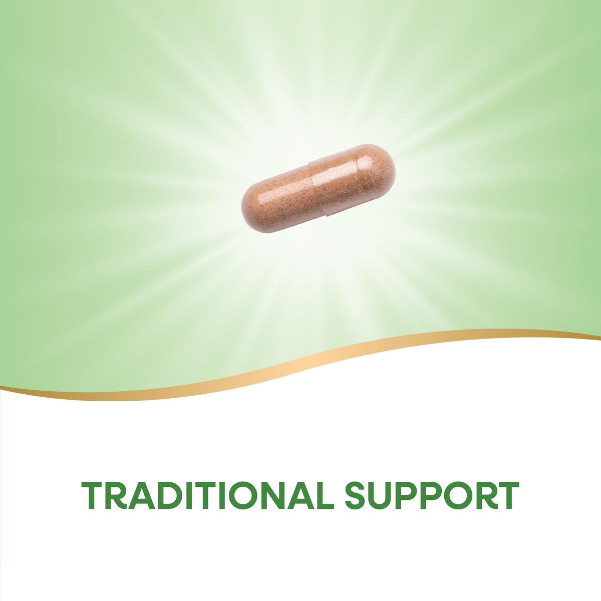 Red Yeast Rice 600 mg Vegan 120 Capsules E914
