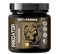 Chewable Tablets for Dogs X4264