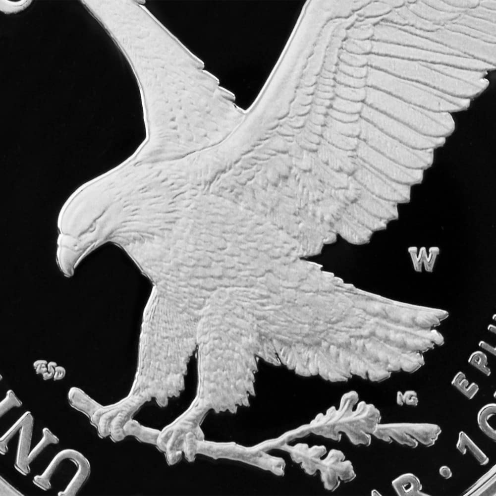 1 oz American Silver Eagle Coin D5439