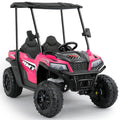 24V 2 Seater Ride on Car with Sun Shade Dump Bed Shovel Hot Pink N357