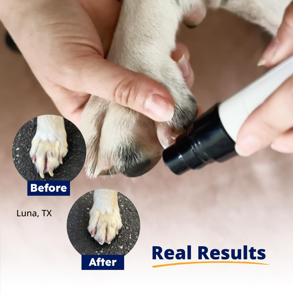 Pet Nail Grinder + Replacement Drum Grinders (3 pcs) + Pet Paw Trimmer T7026