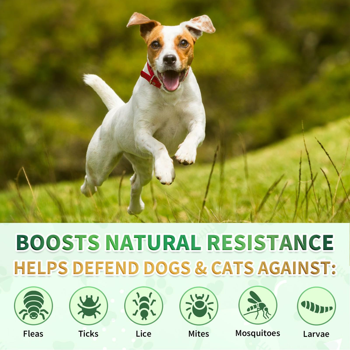 Oral Flea Drops with Multivitamins C40979