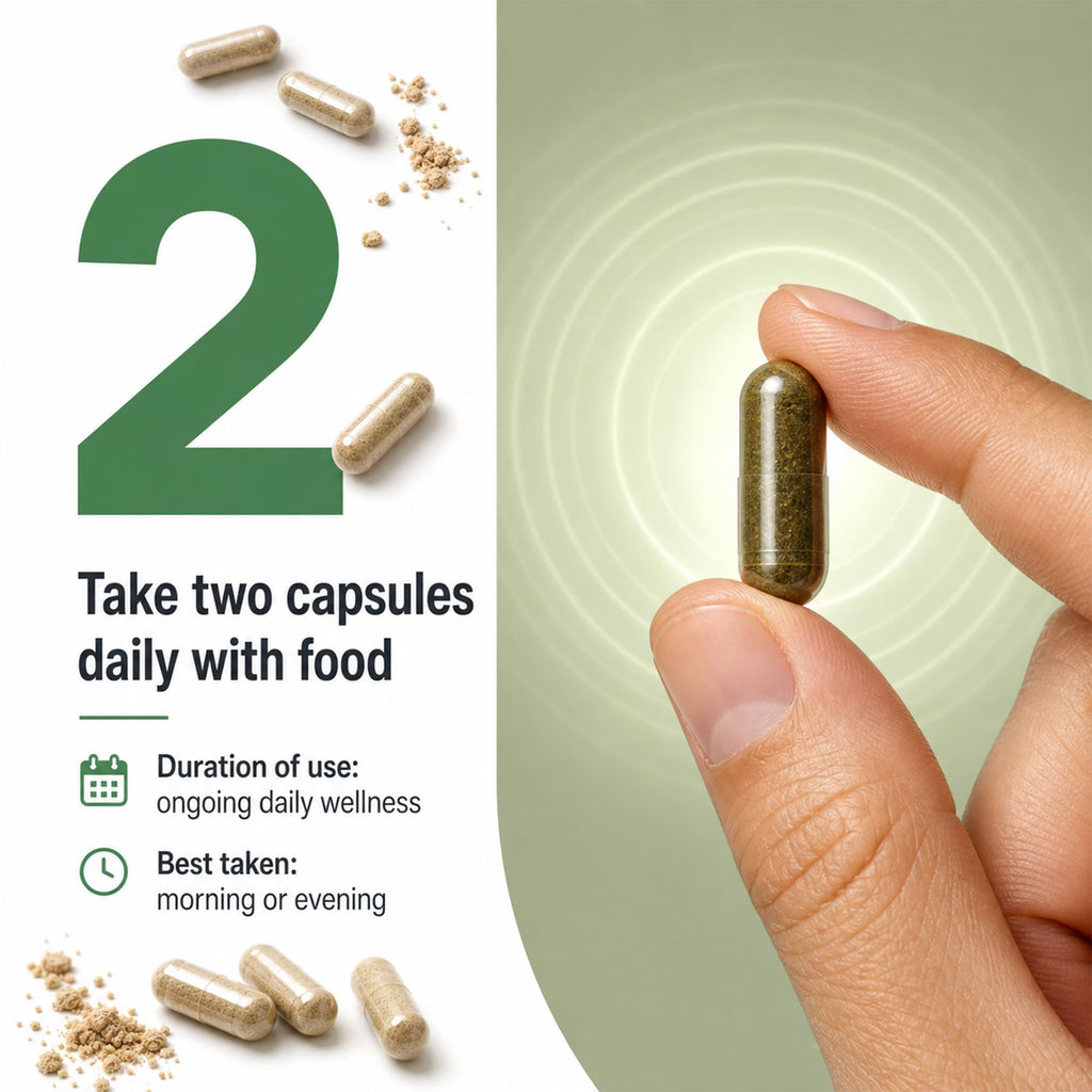 Ashwagandha 1000mg Supplement 120 Capsules E177