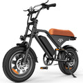 1500W Peak 16'' Fat Tire Electric Bike L402024