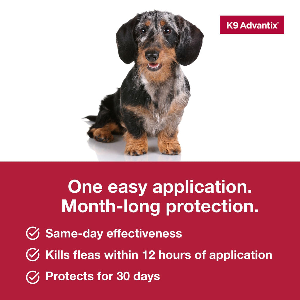 Flea Tick Mosquito Prevention for Dogs 4-10 lbs O808649