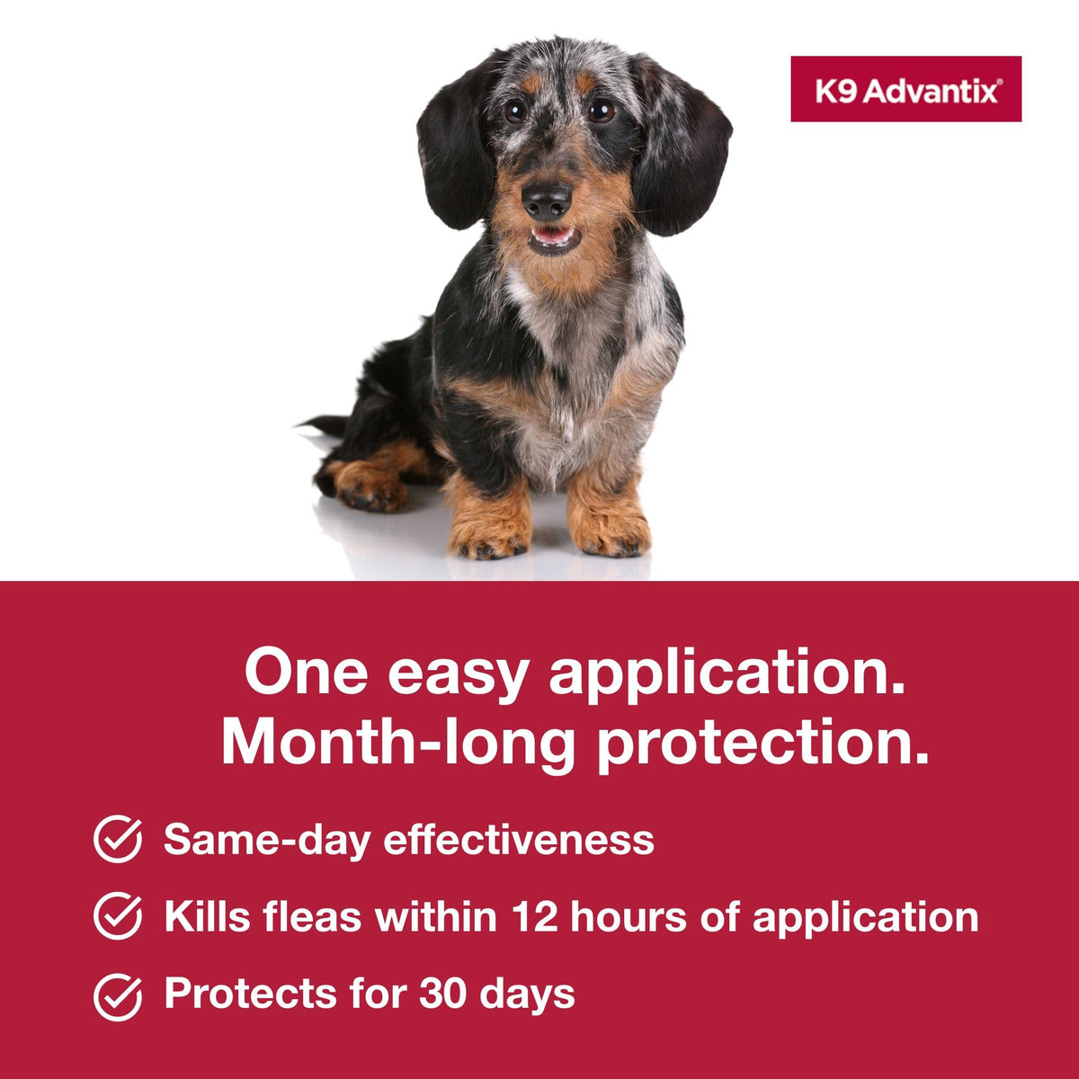 Flea Tick Mosquito Prevention for Dogs 4-10 lbs O808649