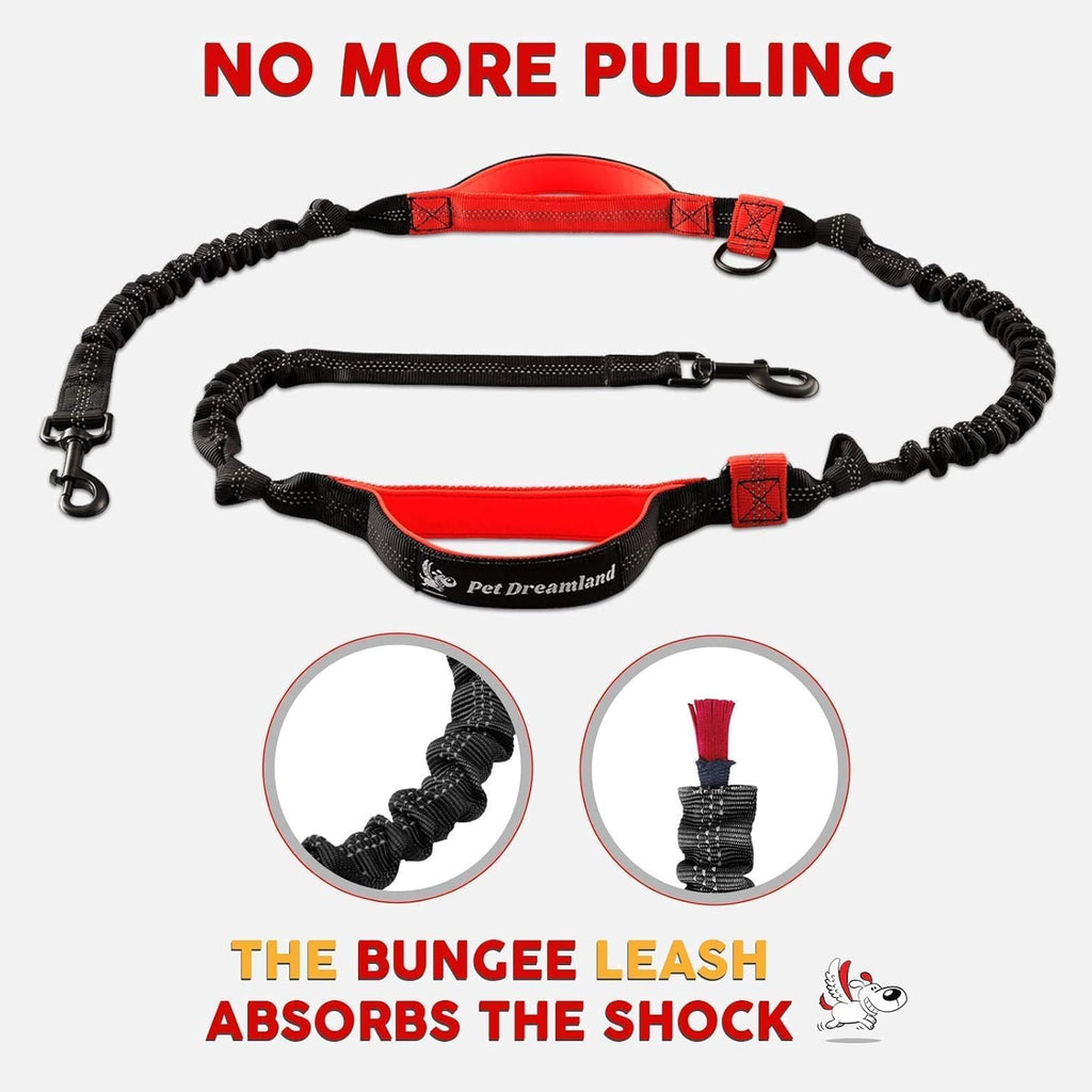 Hands Free Dog Leash with Poop Bag Dispenser C44470