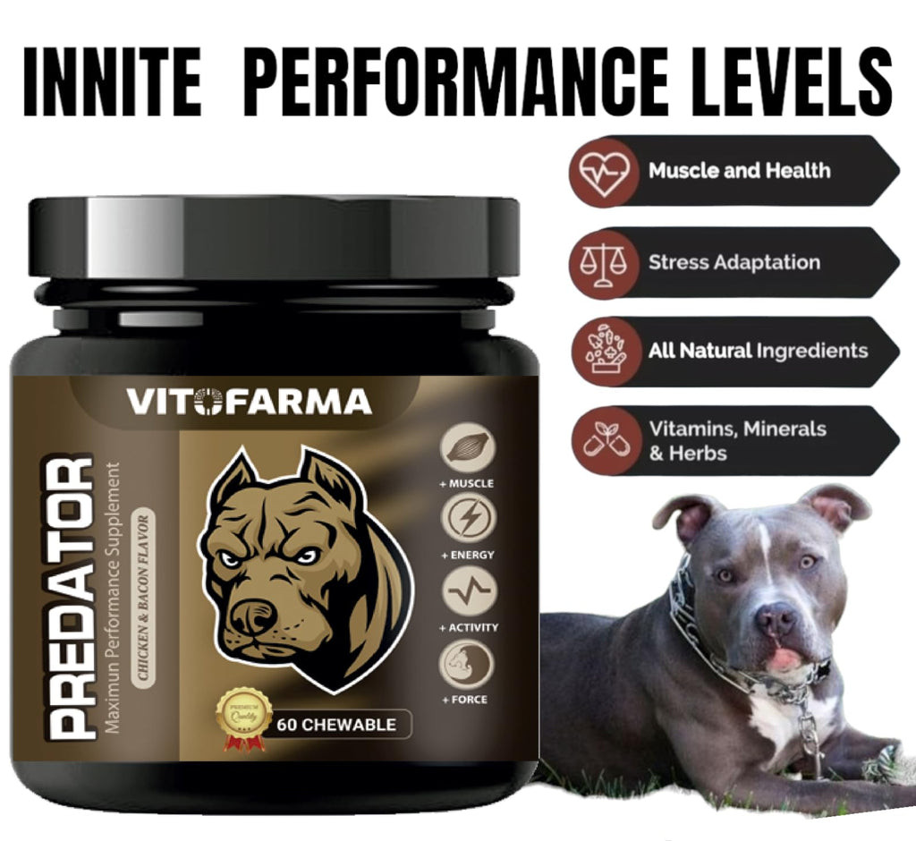 Chewable Tablets for Dogs X4264