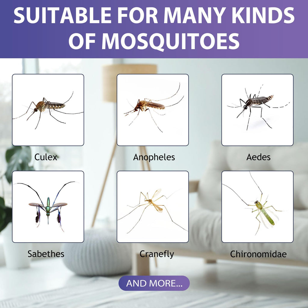 2 Mosquito Attractant Bait Refill X67541