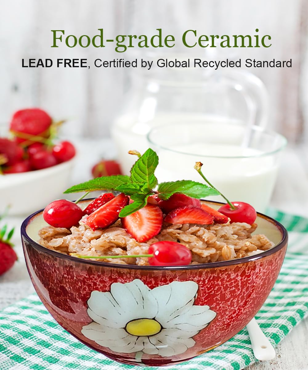 Ceramic Cereal Bowl Set of 4, 28oz Floral Pattern, Microwave Safe N52365