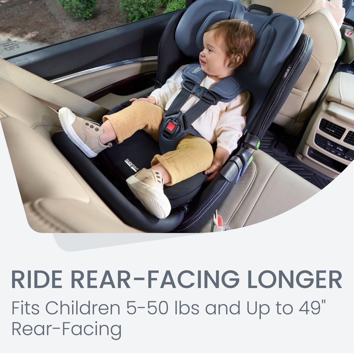 Convertible Car Seat D557353
