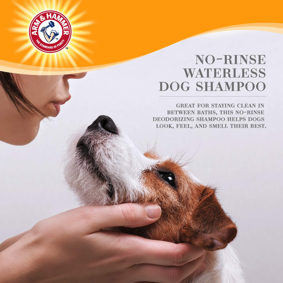 Waterless Dog Shampoo Foam 8 Fl Oz T9783