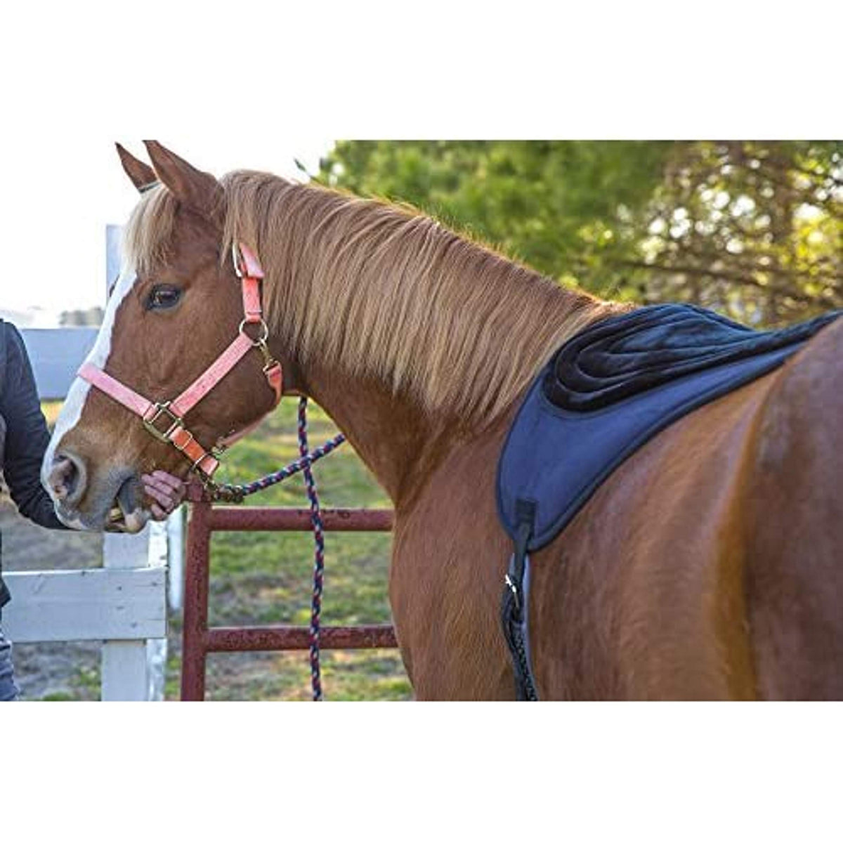 Black Bareback Pad Z25383