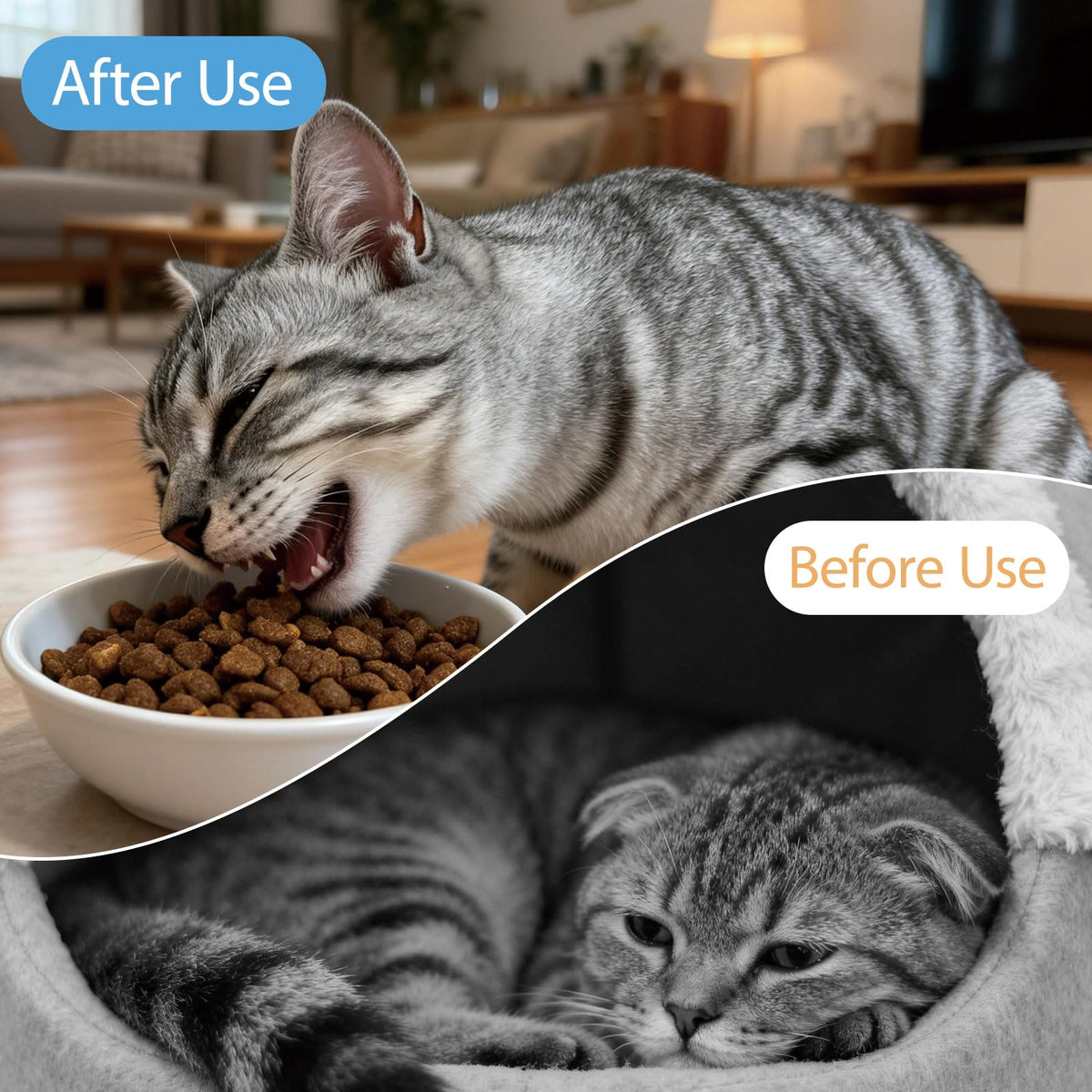Liquid Dewormer for Cats & Kittens 4.06 oz W8497