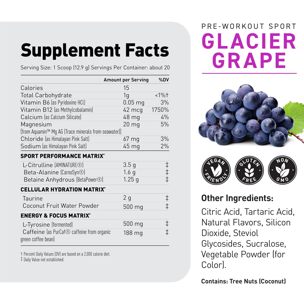 Pre Workout Powder 20 Servings E5040