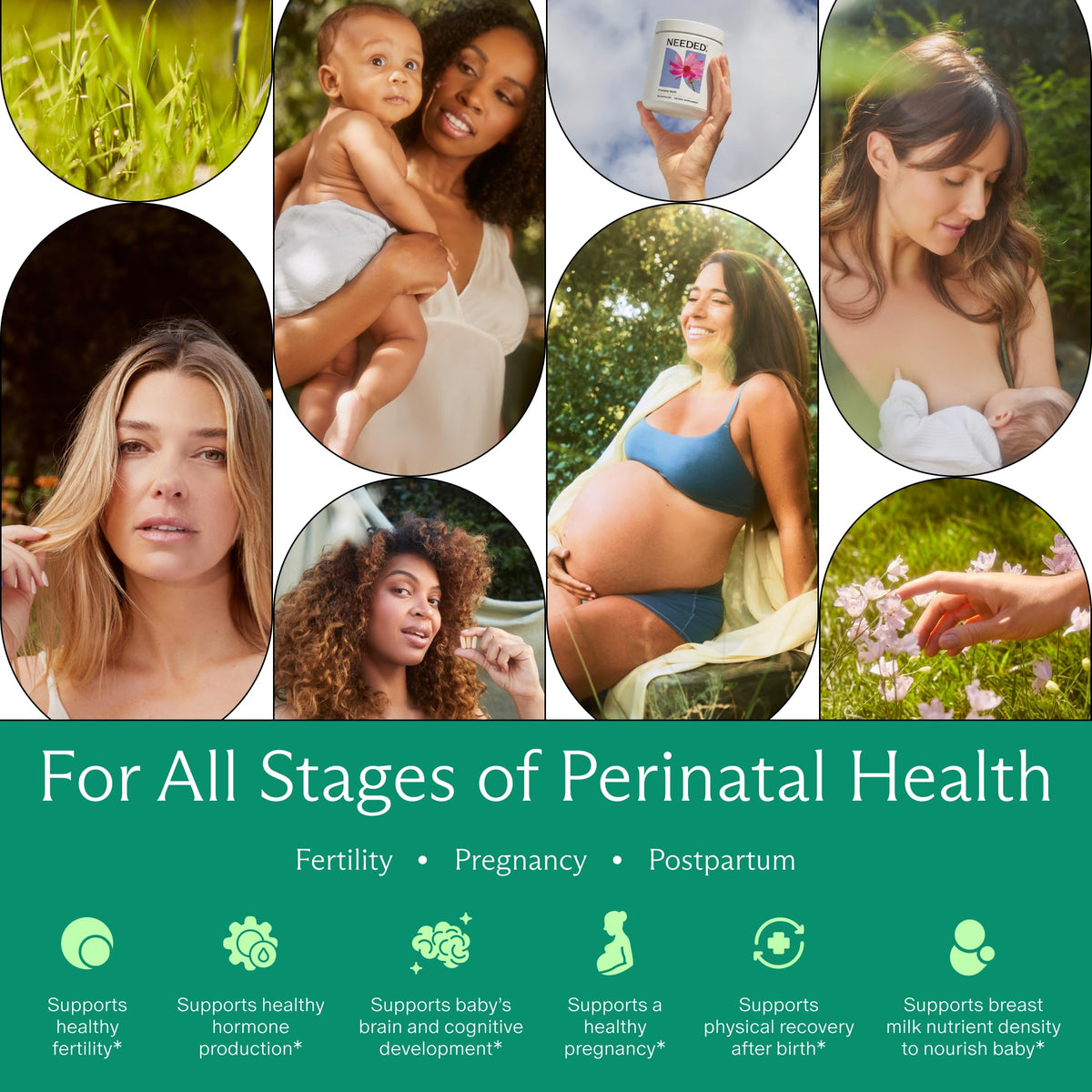 Prenatal Multivitamin Capsule W31511
