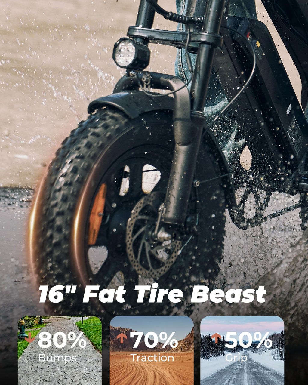1500W Peak 16'' Fat Tire Electric Bike L402024