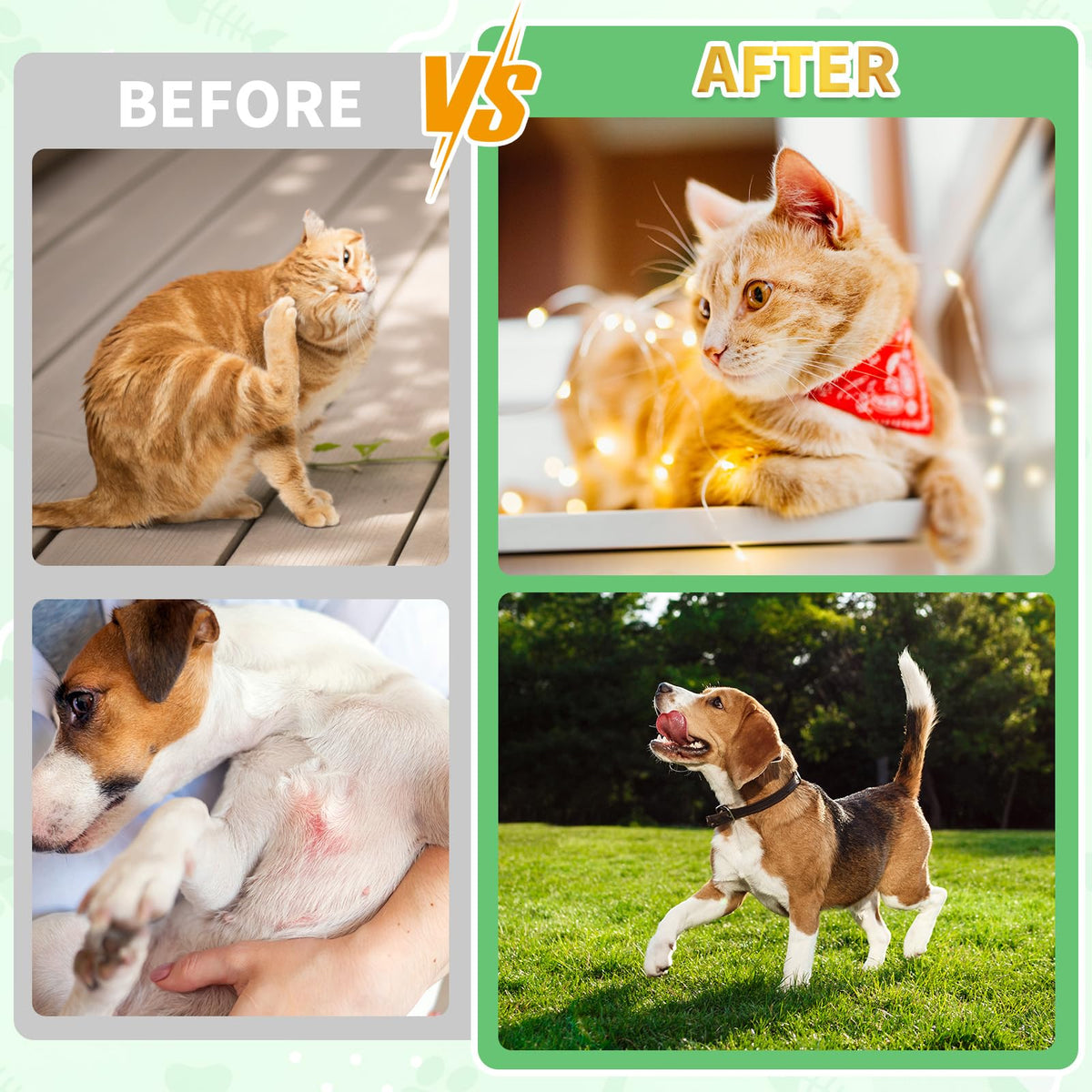 Oral Flea Drops with Multivitamins C40979