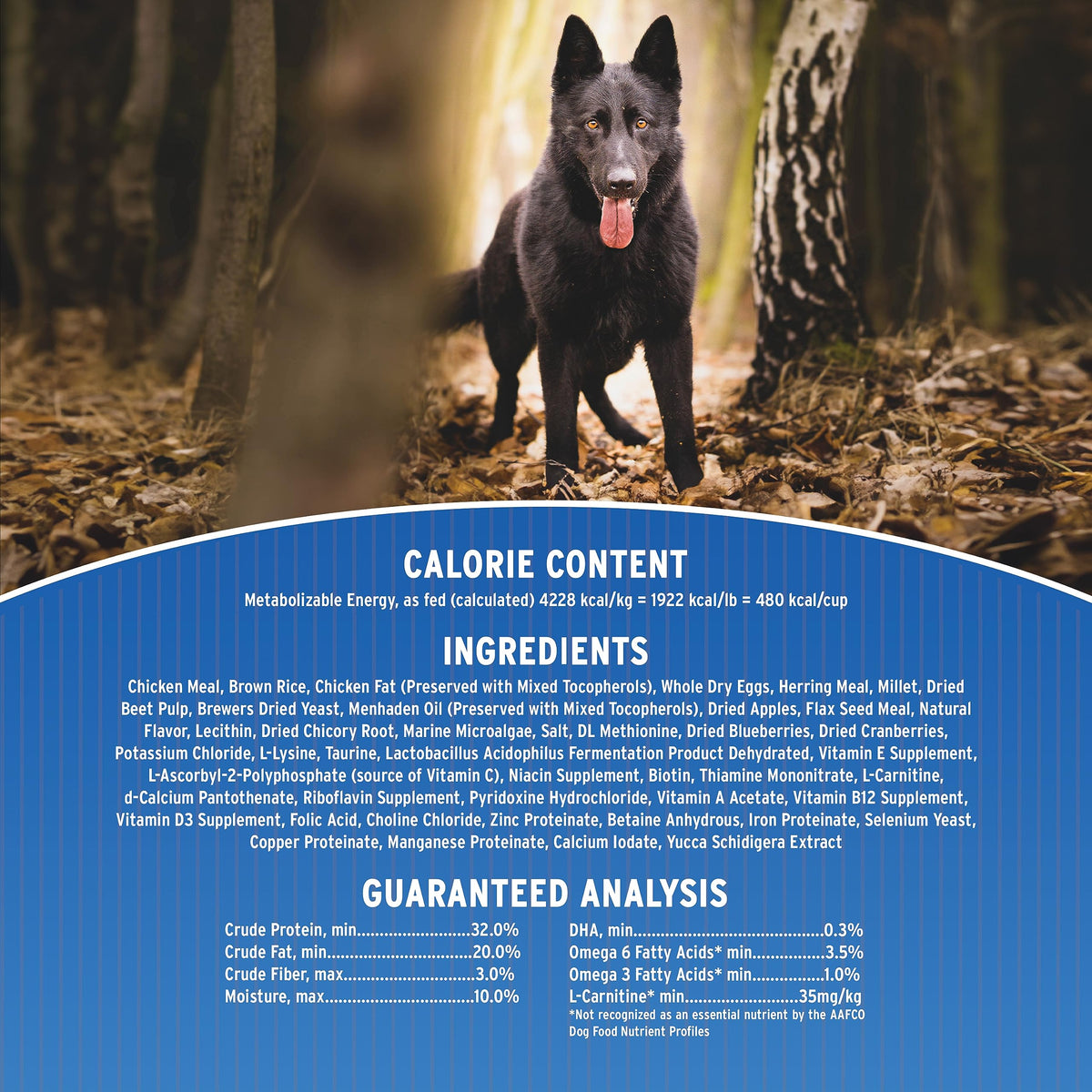 Chicken & Brown Rice Dry Dog Food 25-lb Bag P21114
